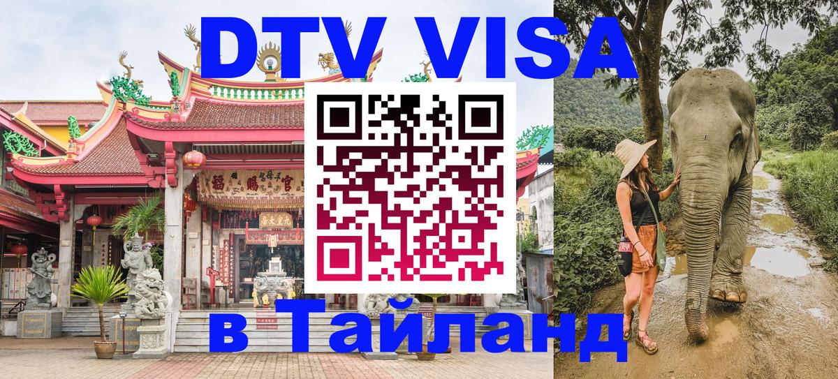 Оформление DTV визы под ключ: стоимость и тарифы, только загранпаспорт - 03.10.2025 